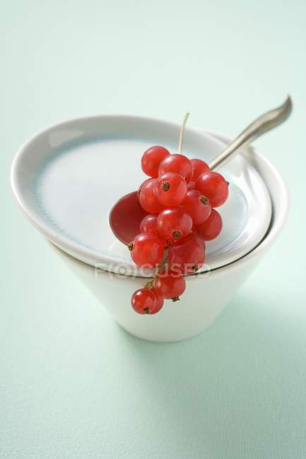 Redcurrants on saucer with bowl — Stock Photo