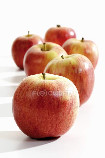 Sechs Gala-Äpfel — Stockfoto