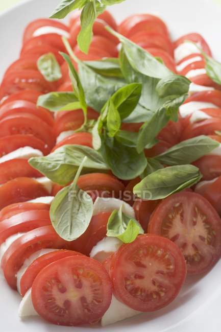 Tomatoes and mozzarella with basil — Stock Photo