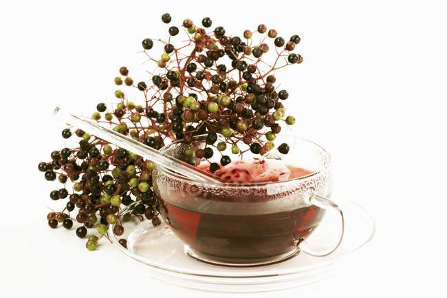 Elderberry tea in cup — Stock Photo