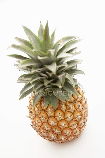 Ananas frais mûri aux plantes — Photo de stock