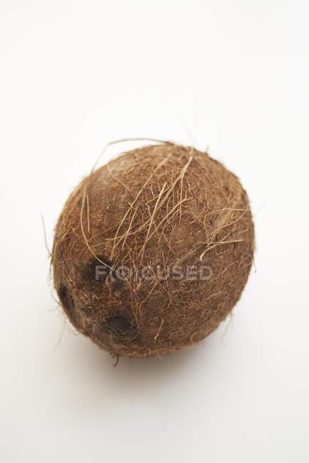 Frische reife Kokosnuss — Stockfoto