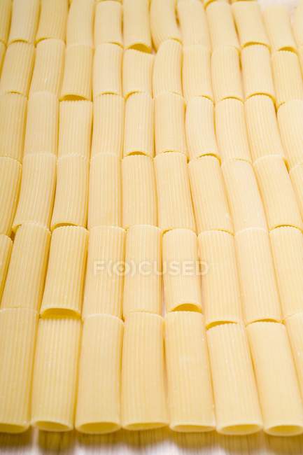 Dried rigatoni pasta — Stock Photo