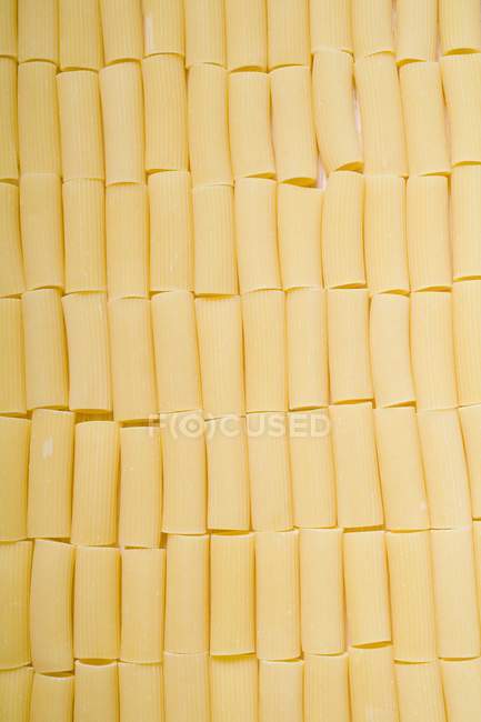 Pasta de Rigatoni Seco - foto de stock