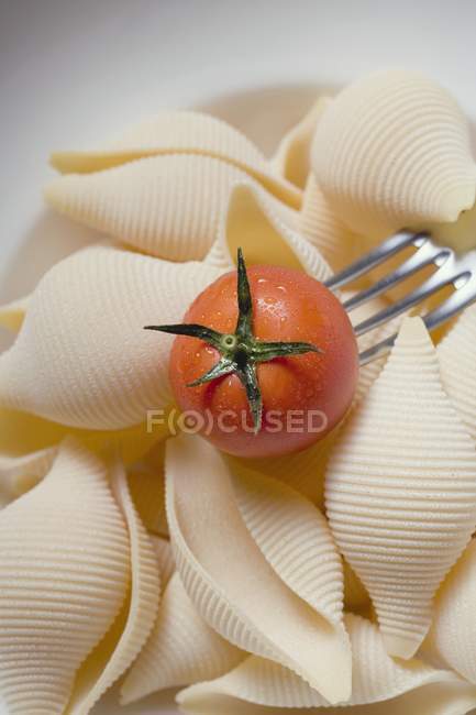 Раковины сушеных макарон с помидорами черри — стоковое фото