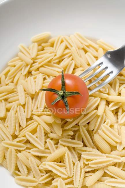 Dry uncooked cavatelli pasta with tomato — Stock Photo