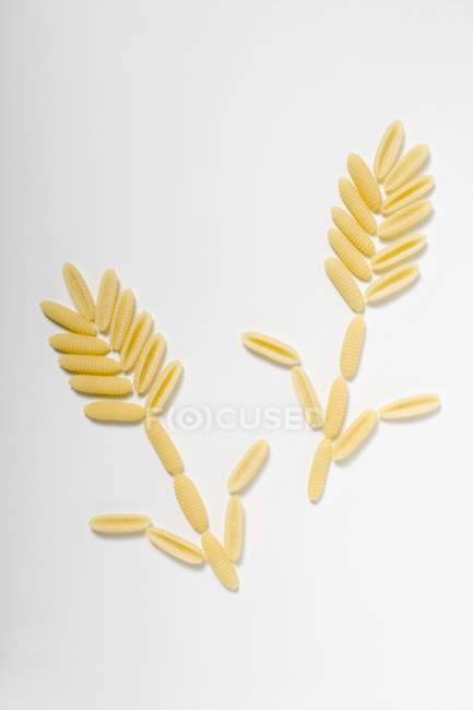 Flowers made of uncooked cavatelli pasta — Stock Photo