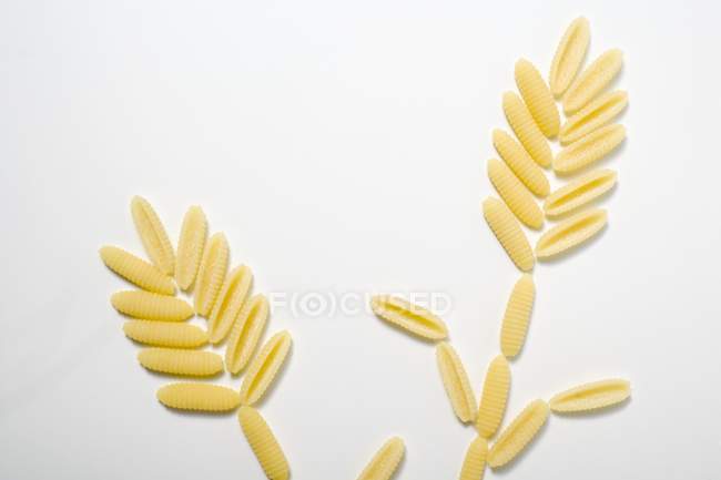 Flowers made of uncooked cavatelli pasta — Stock Photo