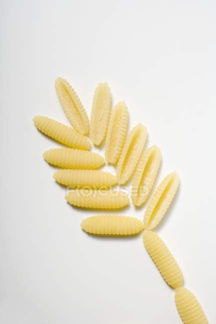 Flower made of uncooked cavatelli pasta — Stock Photo