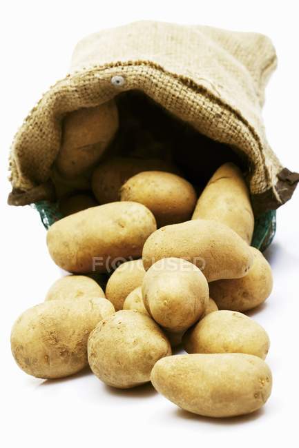 Sack of raw and washed potatoes — Stock Photo