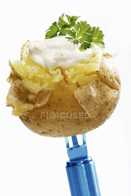 Baked potato with herb quark — Stock Photo