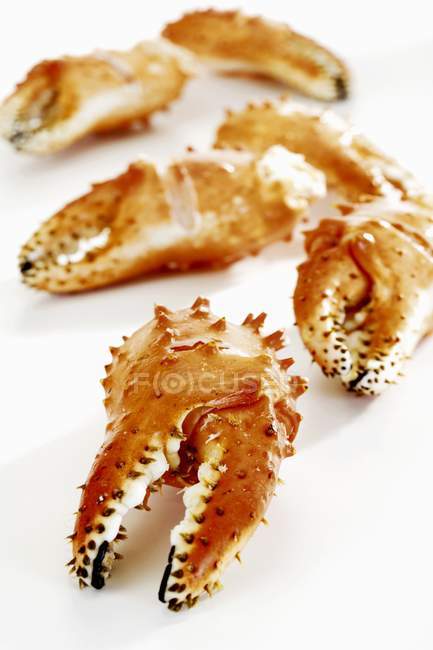 Vista close-up de garras de caranguejo na superfície branca — Fotografia de Stock