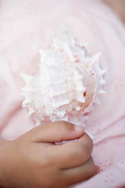 Primo piano vista ritagliata del bambino mano dalla conchiglia del mare — Foto stock
