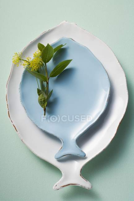 Vista dall'alto di piatti bianchi e blu a forma di pesce, decorati con erbe — Foto stock