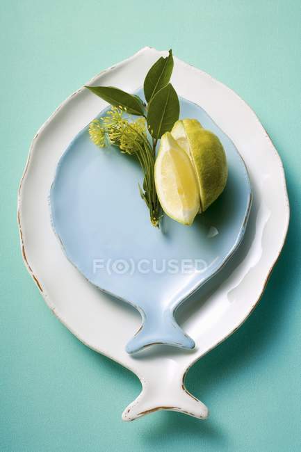 Fish plates with lemon — Stock Photo