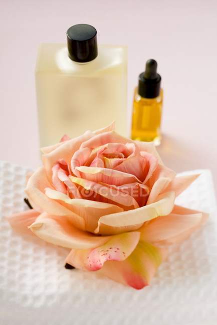 Vue rapprochée de rose orangée coupée sur serviette près des produits de bain — Photo de stock
