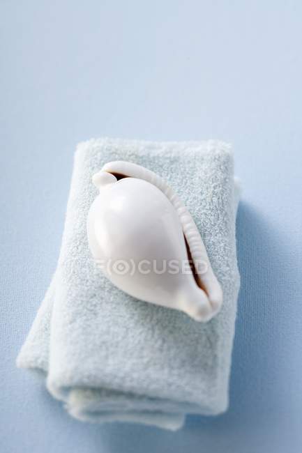 Top view of white sea shell on folded towel on blue surface — Stock Photo