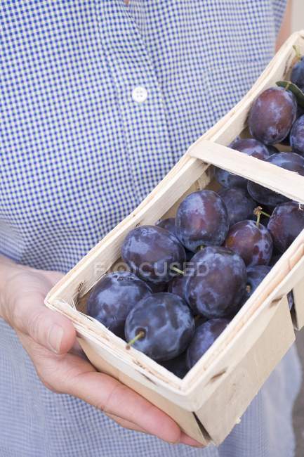 Woman holding basket of plums — Stock Photo
