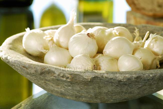 Cebollas blancas en un plato - foto de stock