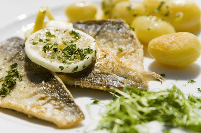 Filetti fritti di pesce bianco con erbe — Foto stock