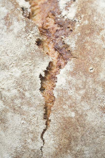 Pane fresco rustico — Foto stock