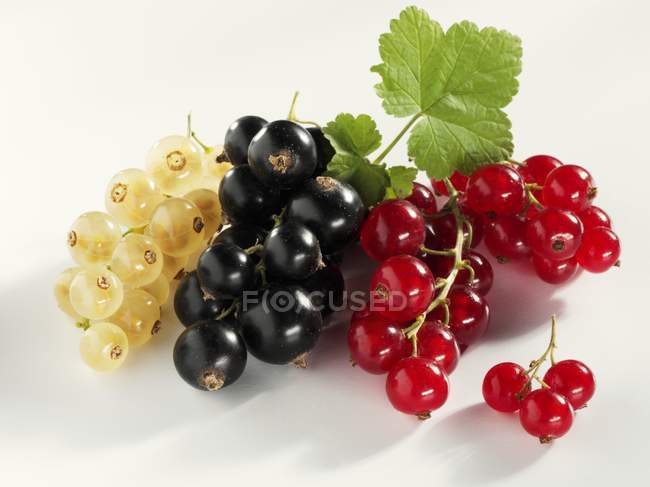 Fresh ripe black and redcurrants — Stock Photo
