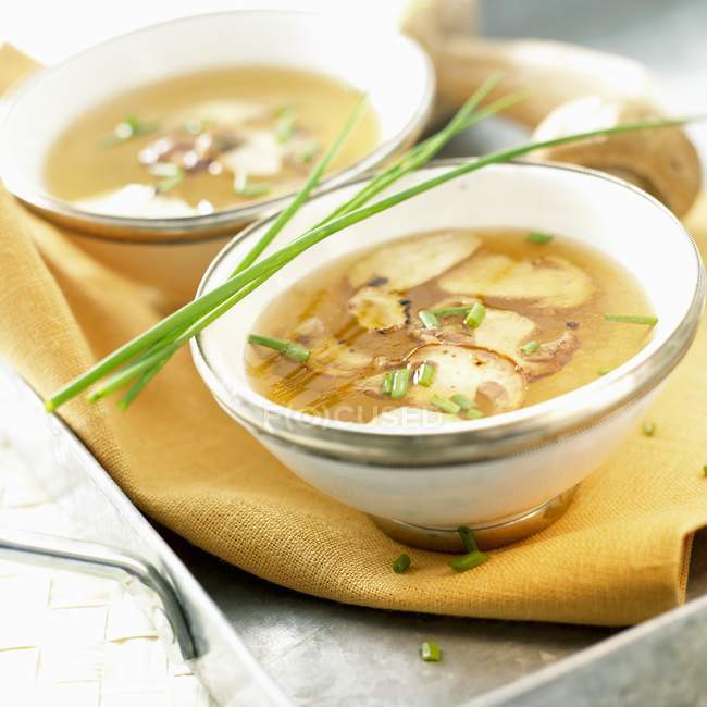 Грибной суп в двух мисках — стоковое фото