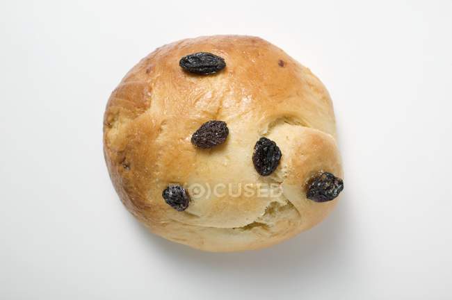 Fresh baked Raisin roll — Stock Photo