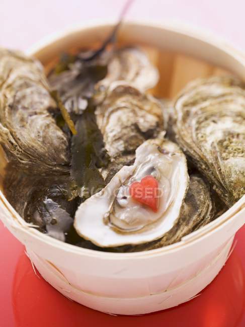 Fresh oysters in a wooden basket — Stock Photo