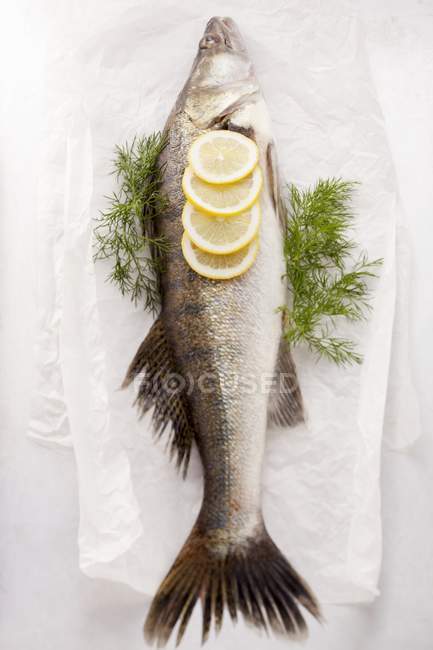 Pescado fresco con rodajas de limón y eneldo - foto de stock