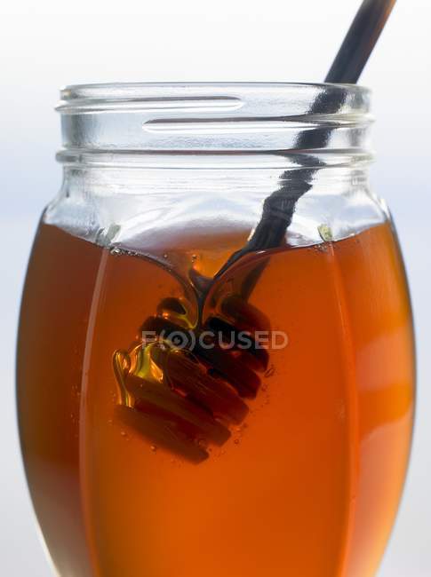 Olla de miel en frasco - foto de stock