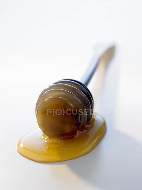 Honey dipper with honey — Stock Photo
