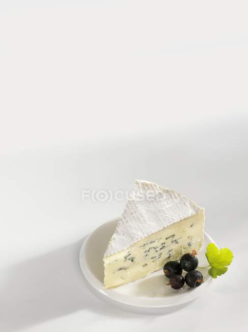 Pezzo di formaggio blu — Foto stock