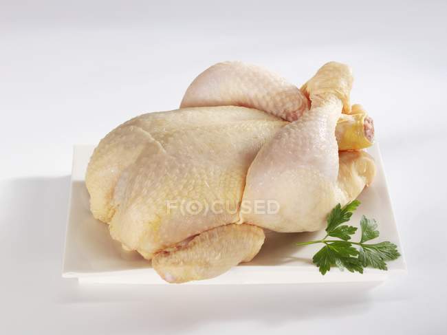 Сырая целая курица на блюдечке — стоковое фото