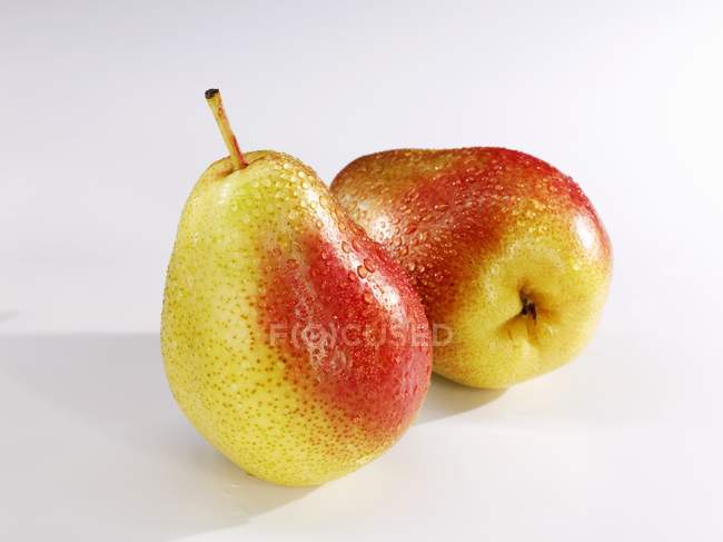 Two pears with drops of water — Stock Photo