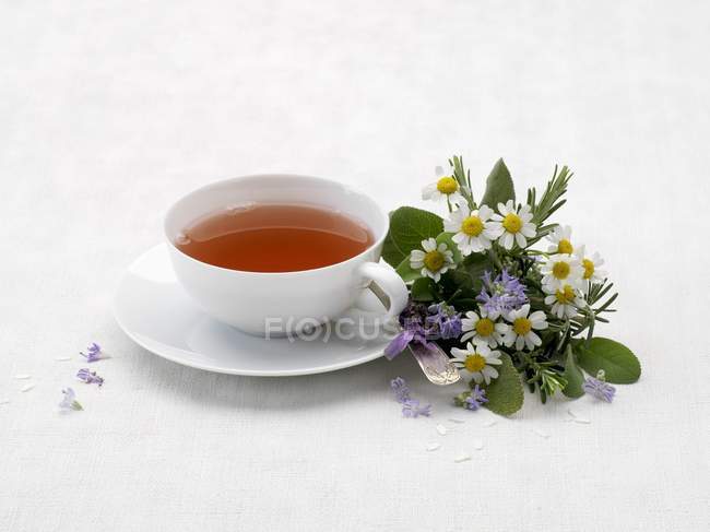 Taza de té de hierbas - foto de stock