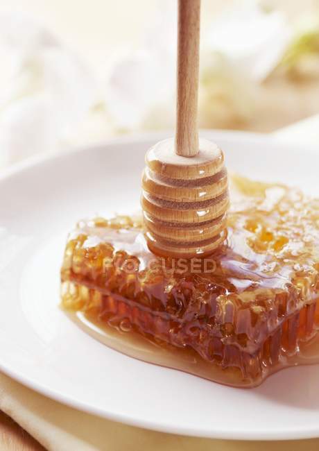 Honey dipper standing on honeycomb — Stock Photo