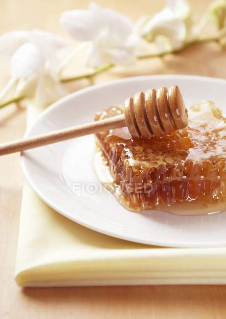 Honeycomb with honey and dipper — Stock Photo
