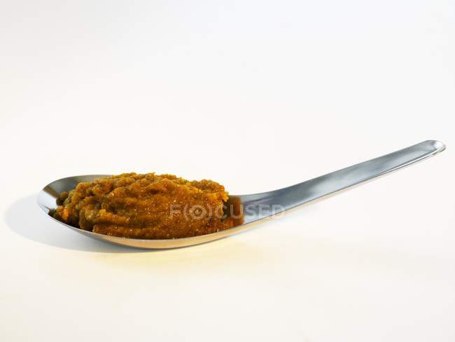 Closeup view of Chinese spice paste on a spoon — Stock Photo