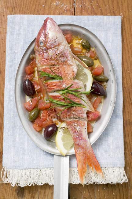 Красная кефаль на средиземноморских овощах — стоковое фото
