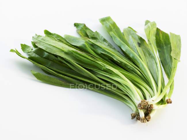 Китайская брокколи Brassica alboglabra — стоковое фото