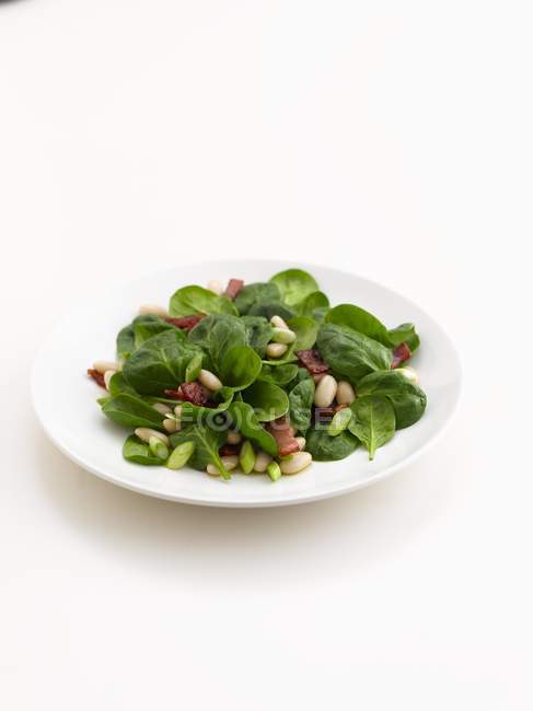 Салат зі шпинату з беконом та кедровими горіхами на білій тарілці — стокове фото