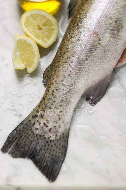 Fresh salmon trout — Stock Photo