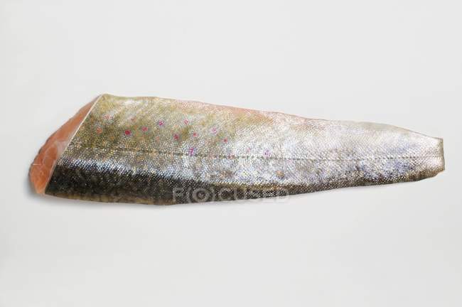 Truite de saumon sans tête — Photo de stock