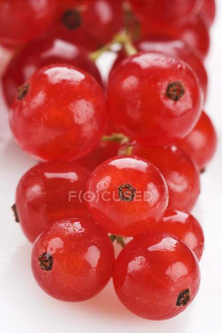 Bunch of ripe redcurrants — Stock Photo