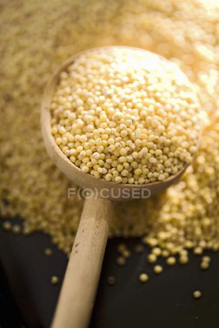 Millet in a wooden scoop — Stock Photo