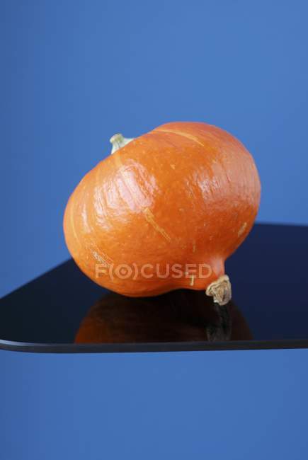 Fresh Hokkaido pumpkin — Stock Photo