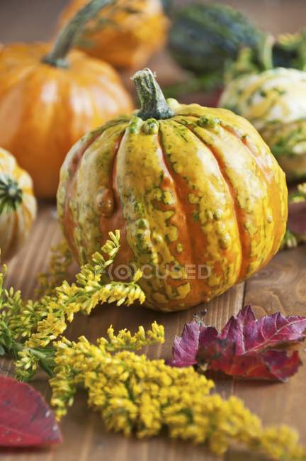 Сортированные тыквы с жёлтыми цветами и осенними листьями на деревянной поверхности — стоковое фото