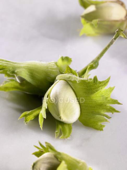 Green hazelnuts with leaves — Stock Photo