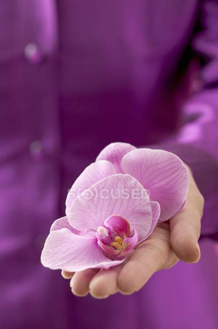 Вид крупным планом женщины с цветами орхидеи — стоковое фото